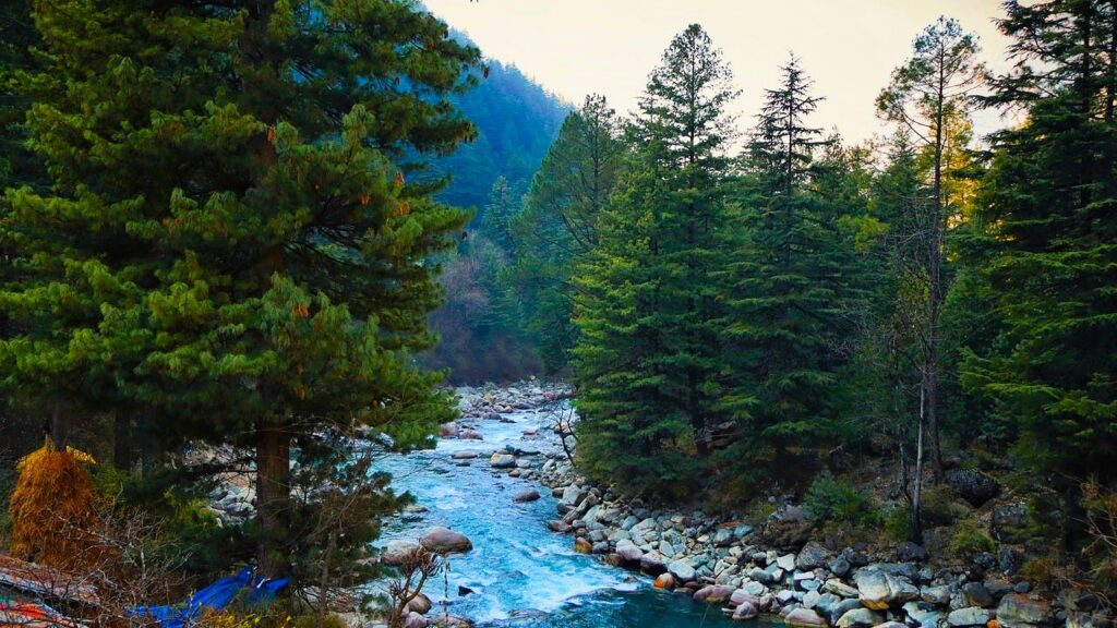 Parvati Valley