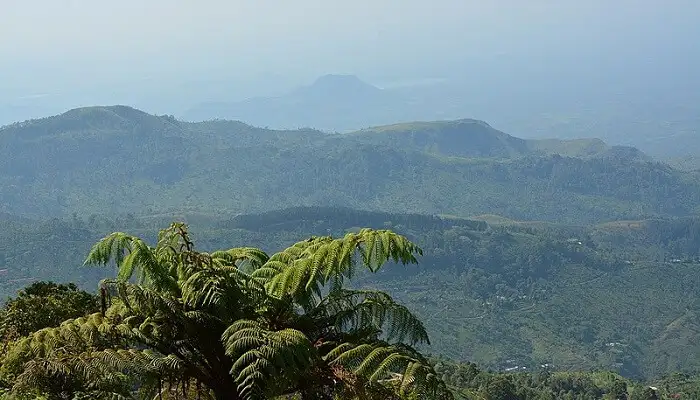 Lipton’s Seat – Discover Tea Heritage