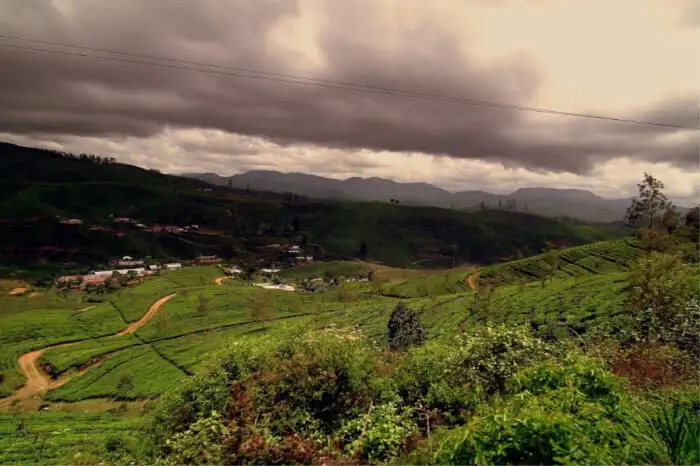 Best Time to Visit Ella, Sri Lanka