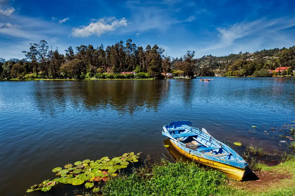 Kodaikanal, Tamil Nadu: A Cloudy Retreat