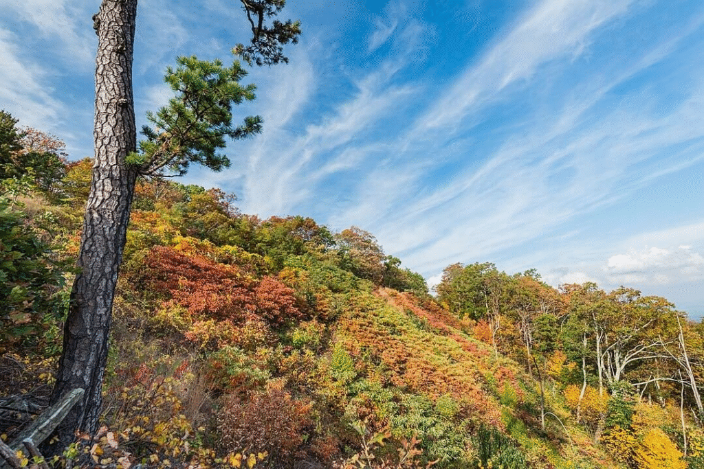 National Parks on the East Coast