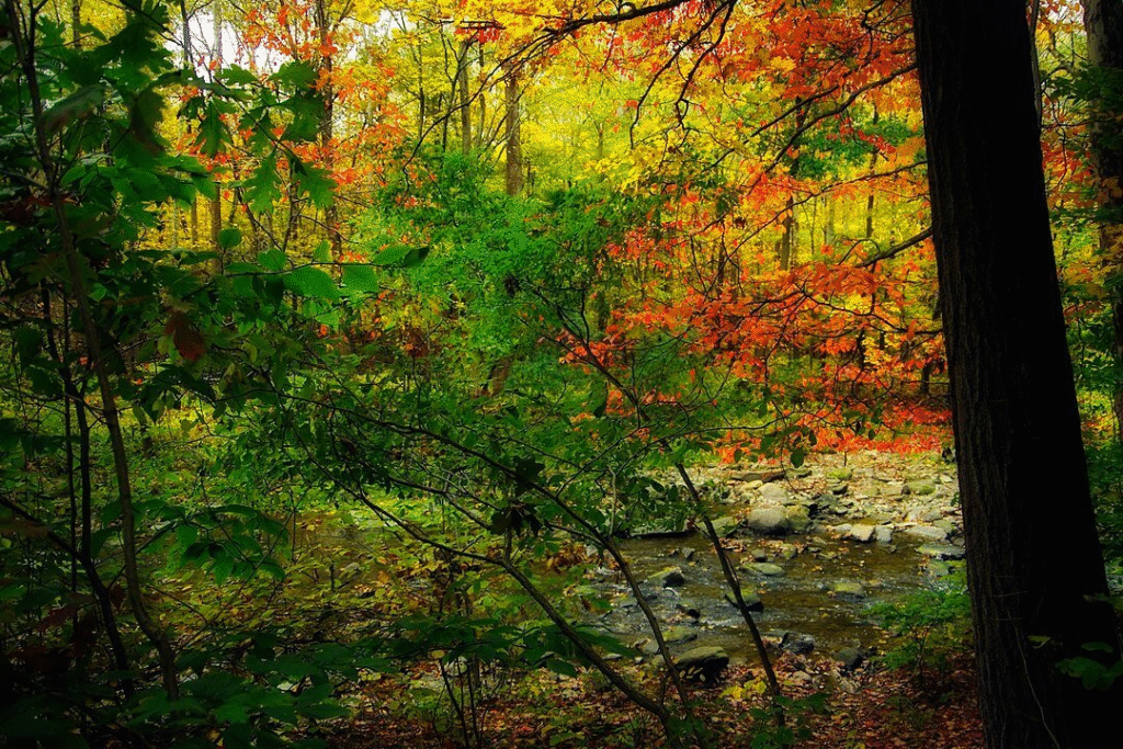 Cuyahoga Valley National Park – Where I Fell Back in Love With Biking