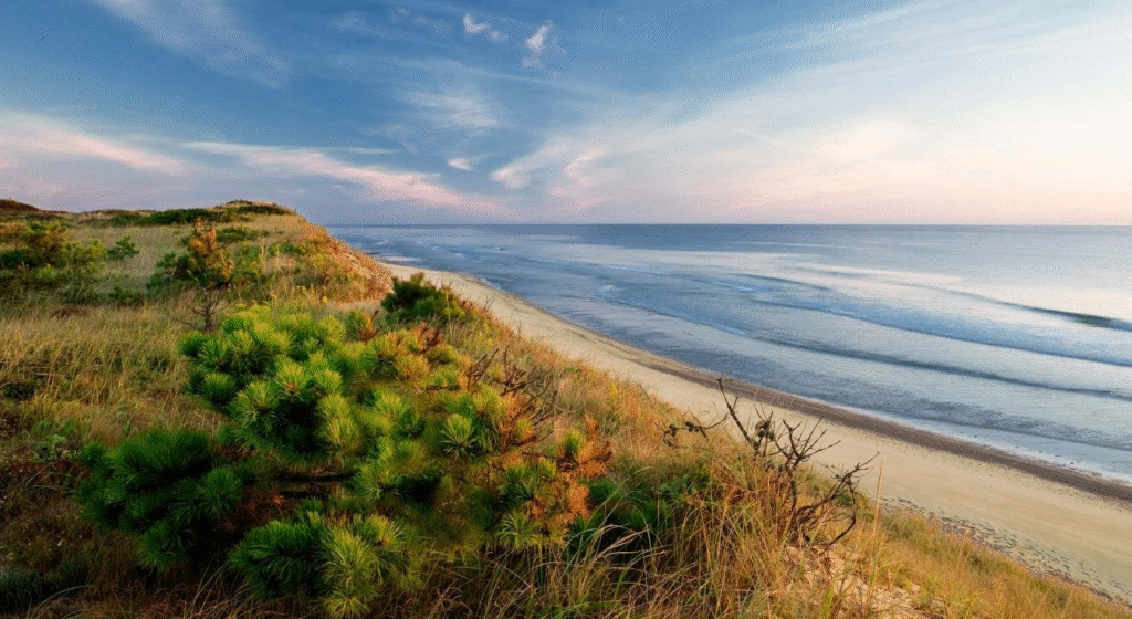 Sunset over the beach at Cape Cod National Seashore.