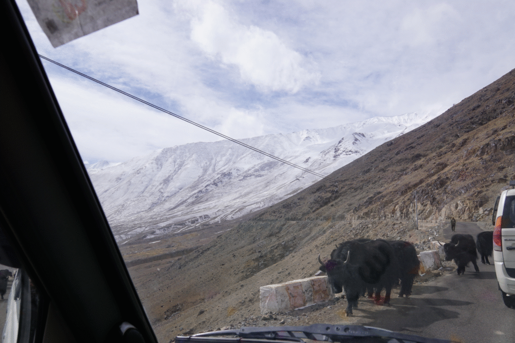 Ladakh in Winter:The Road to Nubra Valley
