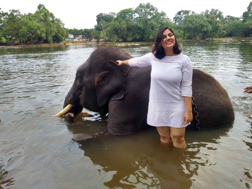 Scenic view of Coorg, one of the top places to visit in monsoon in India